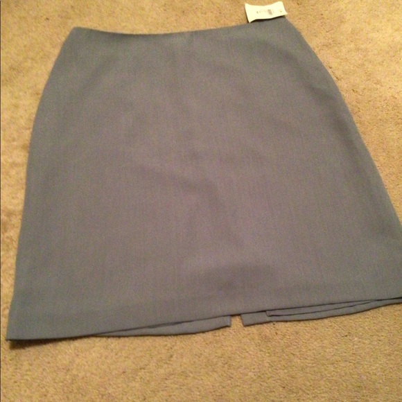 Blue Gray Skirt - Picture 1 of 8
